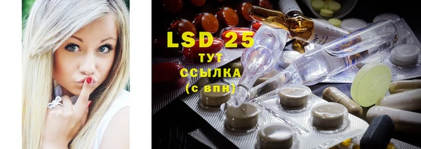 ГАЛЛЮЦИНОГЕННЫЕ ГРИБЫ Липки