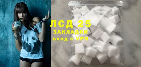 ГАЛЛЮЦИНОГЕННЫЕ ГРИБЫ Липки