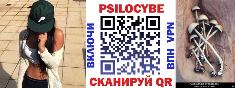 Купить  Новоалександровск  Псилоцибиновые грибы ЛСД 